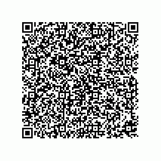 vCard 73815821177