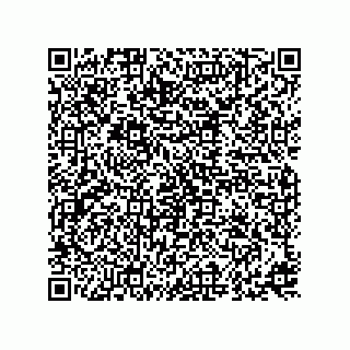 vCard 73815821179
