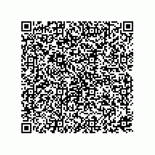 vCard 73815821333