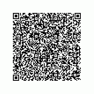 vCard 73815821371