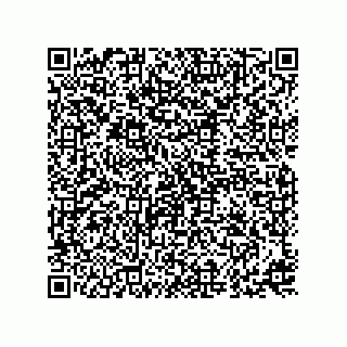 vCard 73815821379