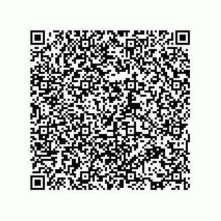 vCard 73815821380
