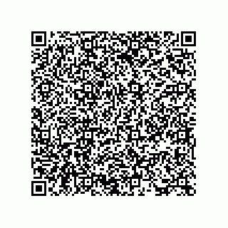 vCard 73815921333