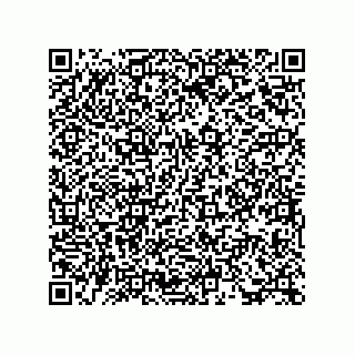 vCard 73815934219