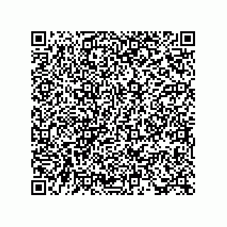 vCard 73815934272