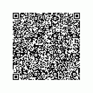 vCard 73816021319