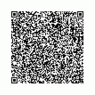 vCard 73816121335