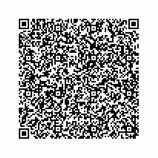 vCard 73816121339