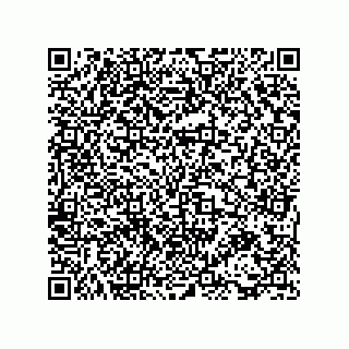 vCard 73816131287