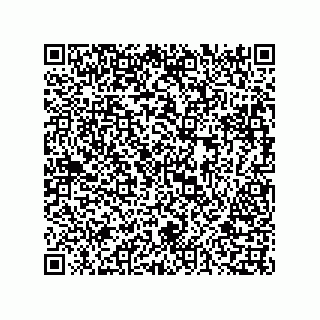 vCard 73816133202