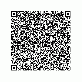 vCard 73816133207