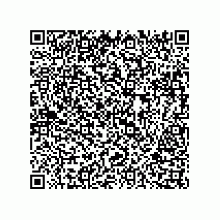 vCard 73816133208