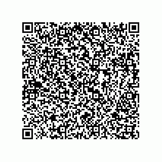 vCard 73816133210