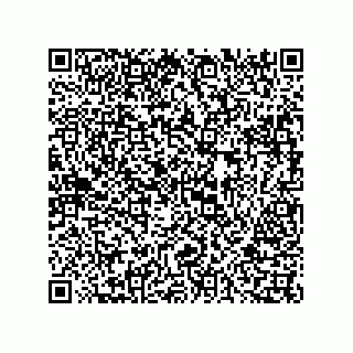 vCard 73816133211