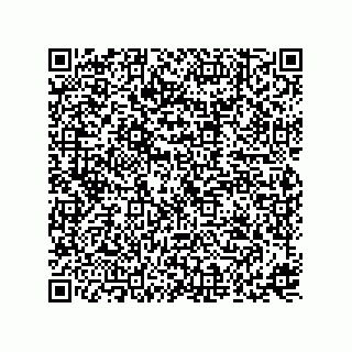 vCard 73816133229