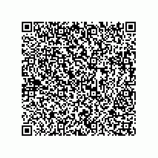 vCard 73816133251