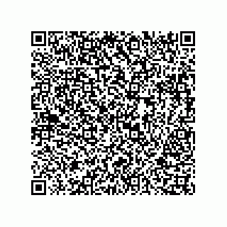 vCard 73816133253