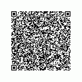vCard 73816133281