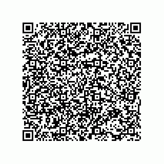 vCard 73816133285