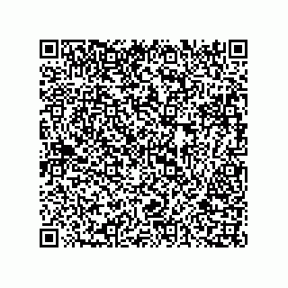 vCard 73816133287