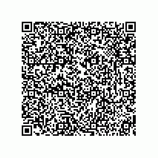 vCard 73816254133
