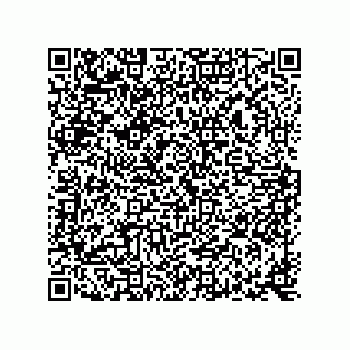 vCard 73816256339