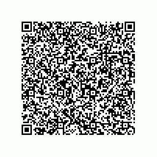 vCard 73816323264