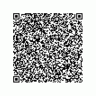 vCard 73816324113