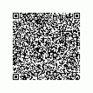 vCard 73816324285