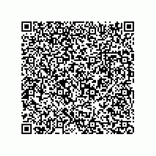 vCard 73816324304