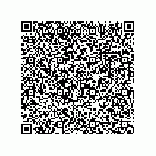 vCard 73816324385