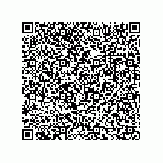 vCard 73816334113