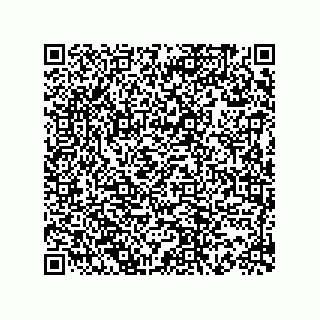 vCard 73816334121
