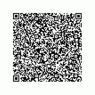 vCard 73816334129