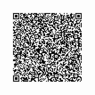 vCard 73816334133