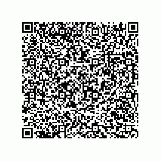 vCard 73816334138