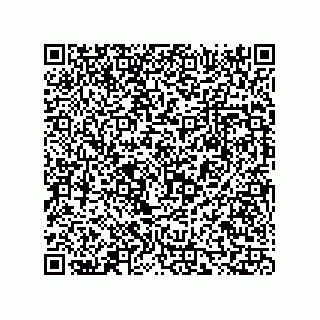 vCard 73816334153