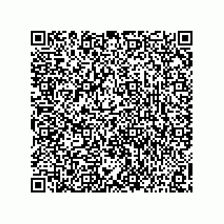 vCard 73816334155