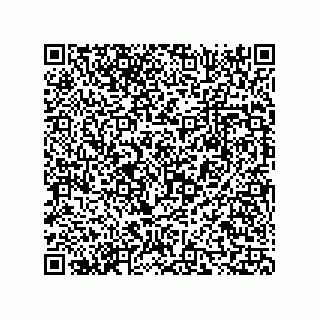 vCard 73816334197