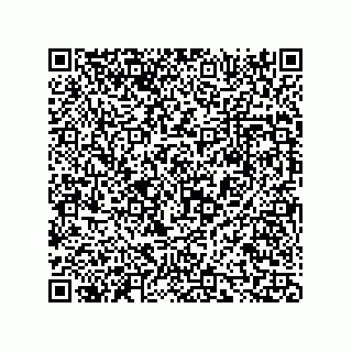 vCard 73816334203