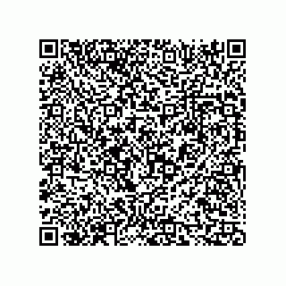 vCard 73816334207