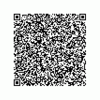 vCard 73816334209