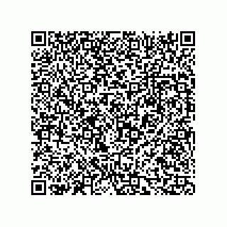 vCard 73816334212