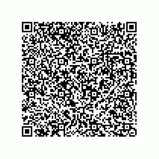 vCard 73816334249