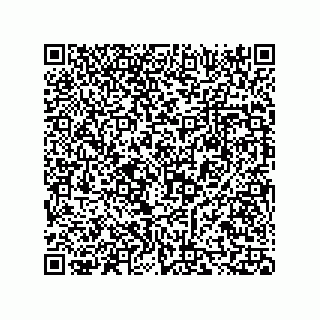 vCard 73816334285