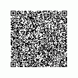 vCard 73816334289