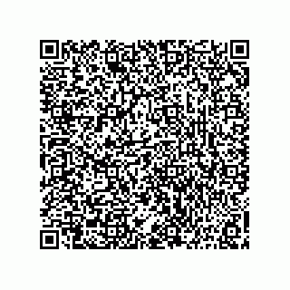 vCard 73816334291
