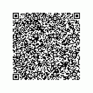 vCard 73816334293
