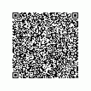 vCard 73816334297