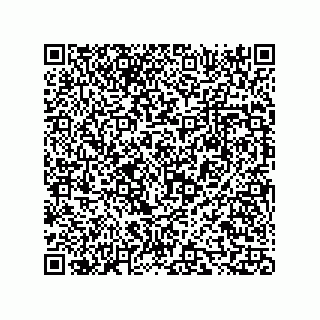 vCard 73816334304
